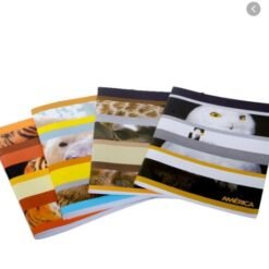 CUAD. X24 GLORIA/AMERICA RAY FLEXIBLE 190