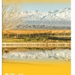 BLOCK AVON A4 X80 HJ RAYADO