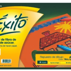 REP. EXITO DE DIBUJO N5 COLOR X6 HJS