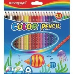 LAPIZ TRIANGULAR LARGO C24 KR972701